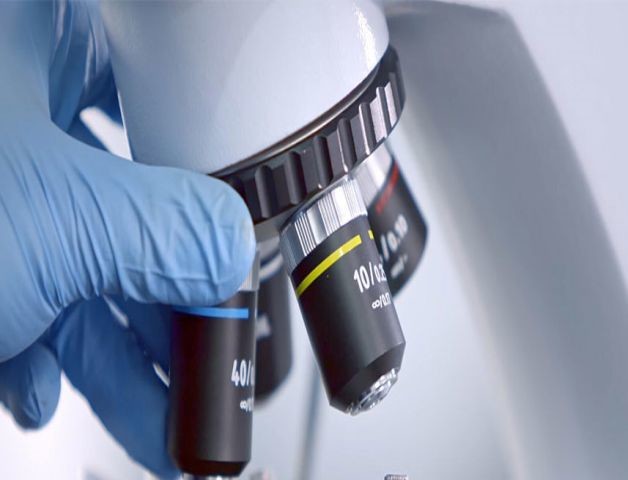 أعلى قدرة على البحث والتطوير